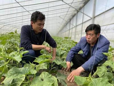 科技惠農(nóng) 老百姓的笑臉是我們放不下的牽掛