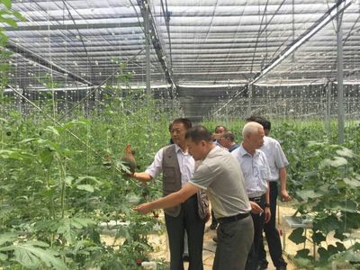 袁文先將軍深入三明調研，為扶貧改革與種植技術發(fā)展注入新動能