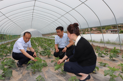 黨建引領促發(fā)展 技術扶貧暖人心——蘭州高新區(qū)“兩新”組織黨委攜手愛心企業(yè)開展“支部結對共建、助力脫貧攻堅”主題黨日活動側記